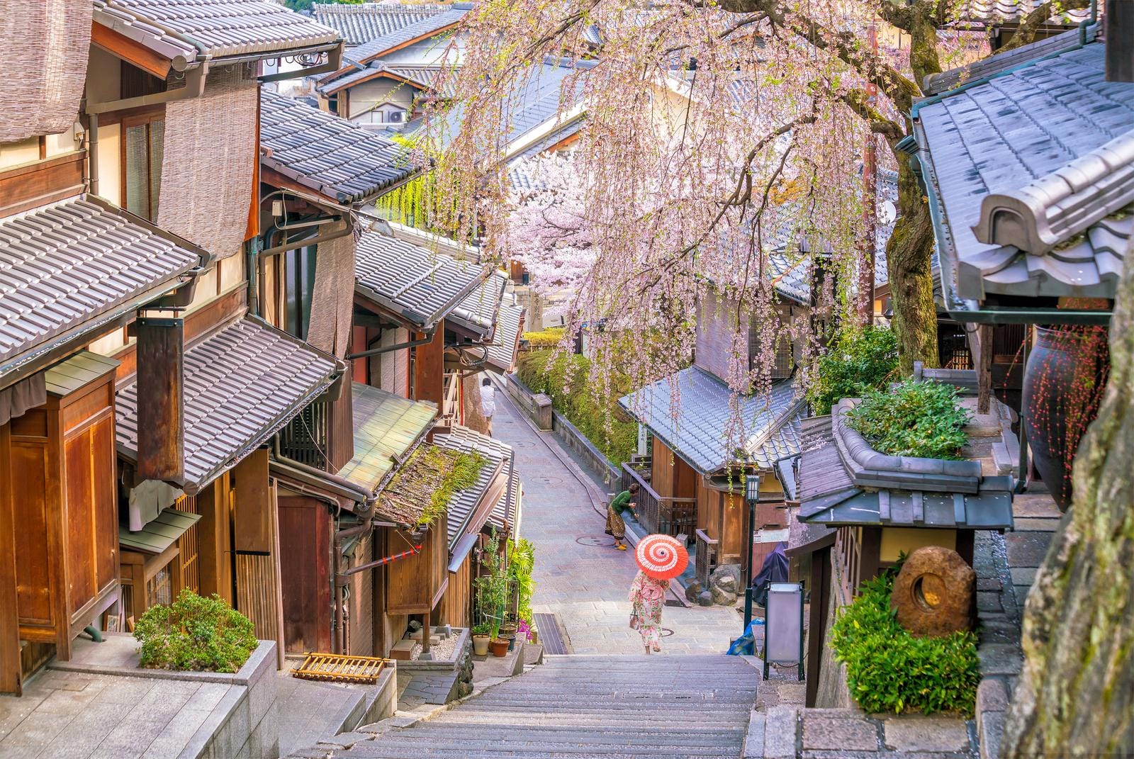 Traditionelle japanische Straße in Kyoto mit blühenden Kirschblüten und Holzgebäuden.
