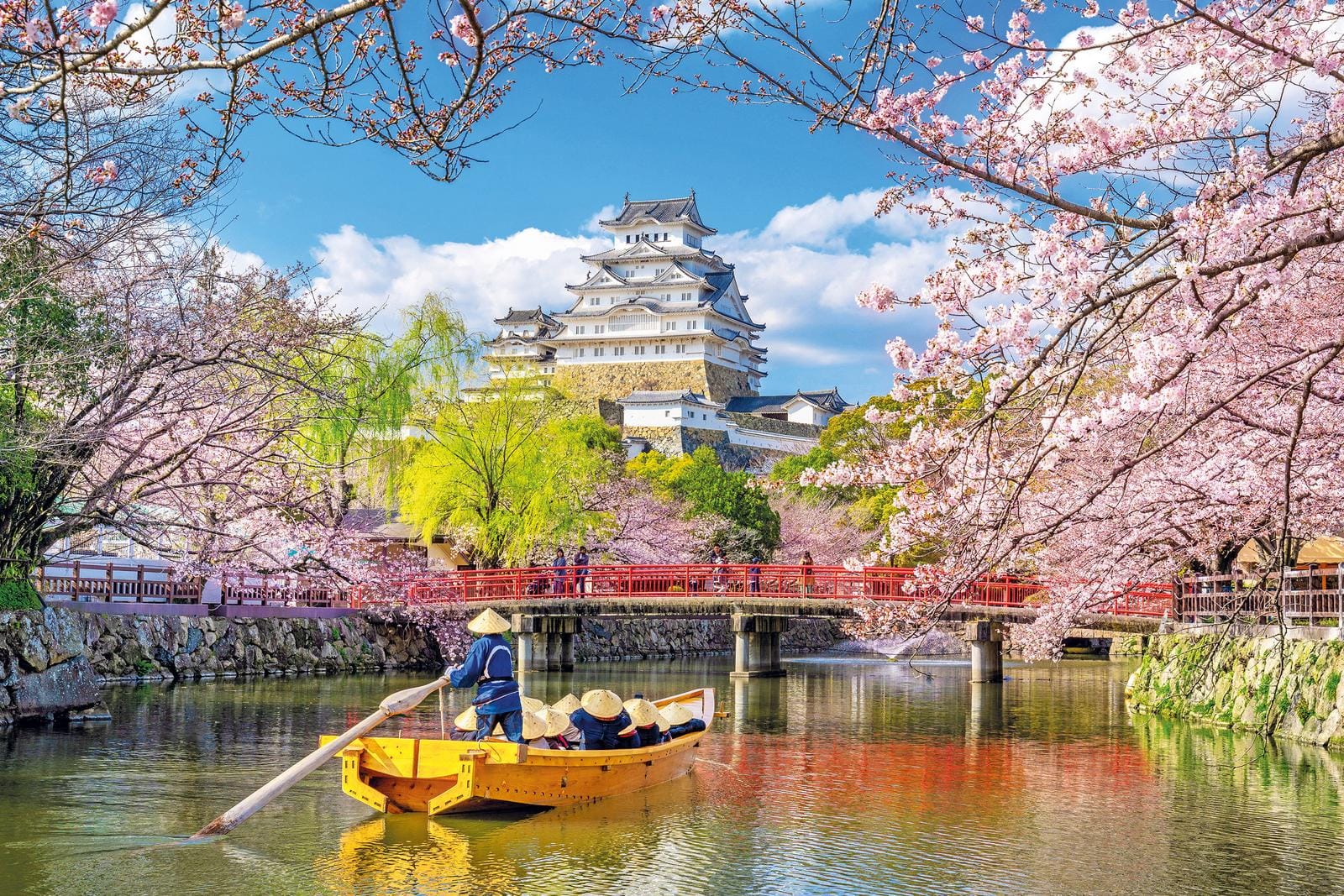 Wunderschöne Kirschblüten am Himeji-Schloss in Japan, mit Bootsfahrt unter dem Blütendach.