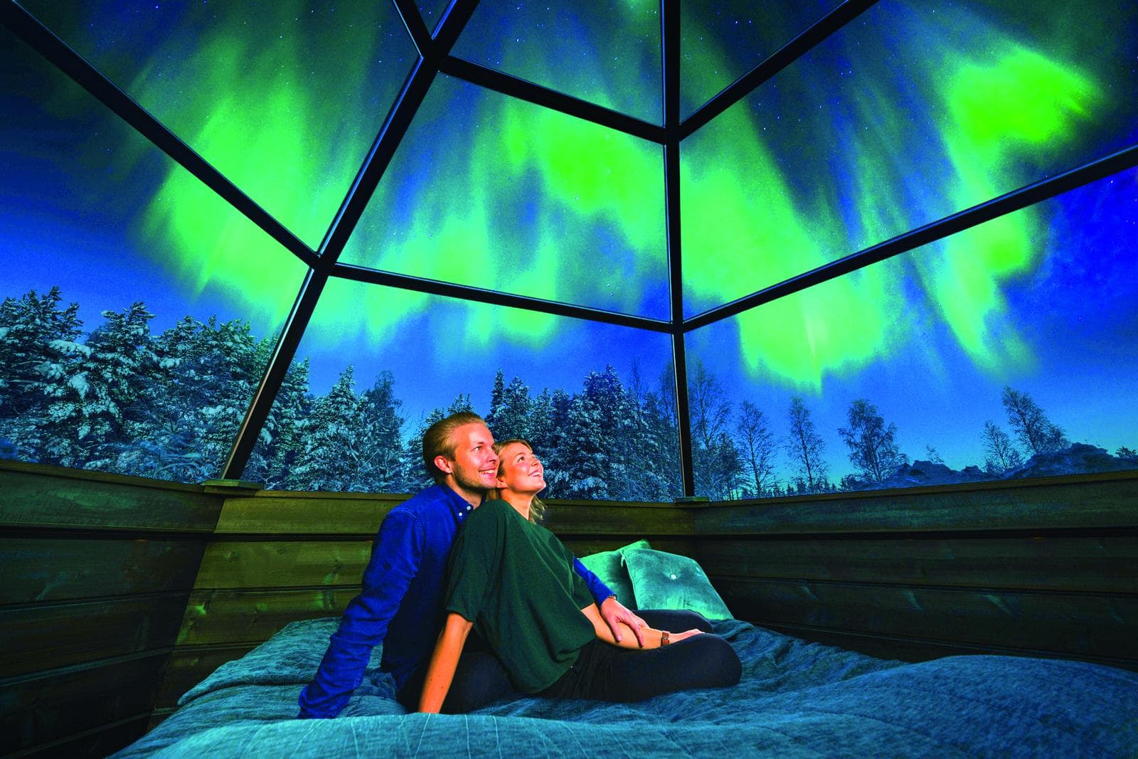 Scandic Nights: Aurora Lights & Arctic Rides