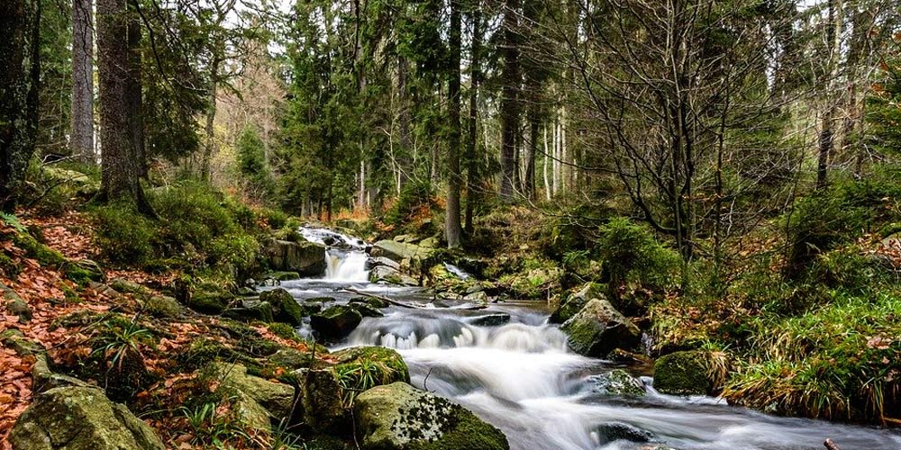 Urlaub im Harz