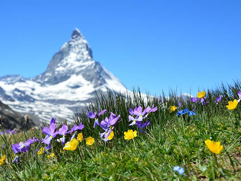 Matterhorn