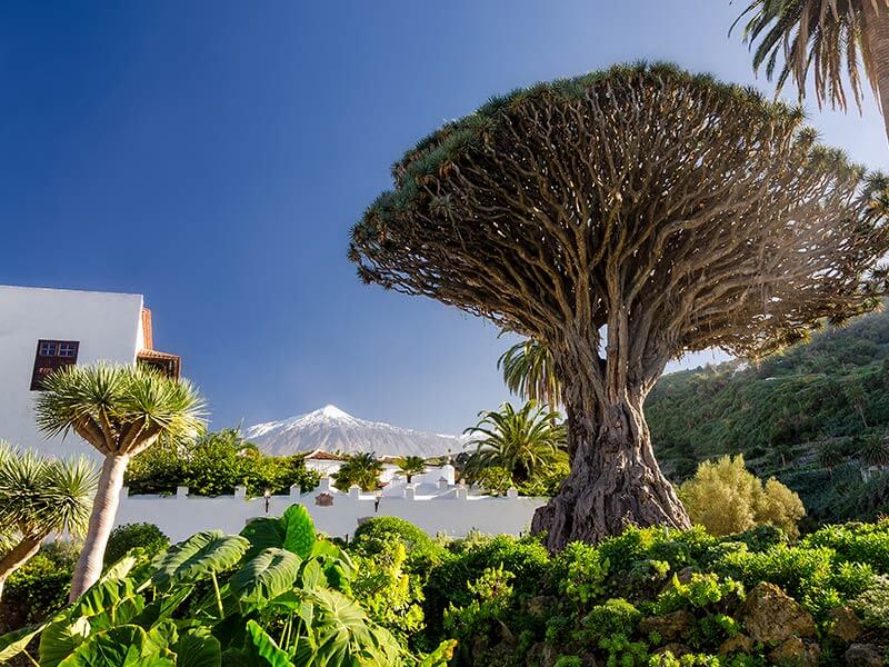 Teneriffa Pico del Teide