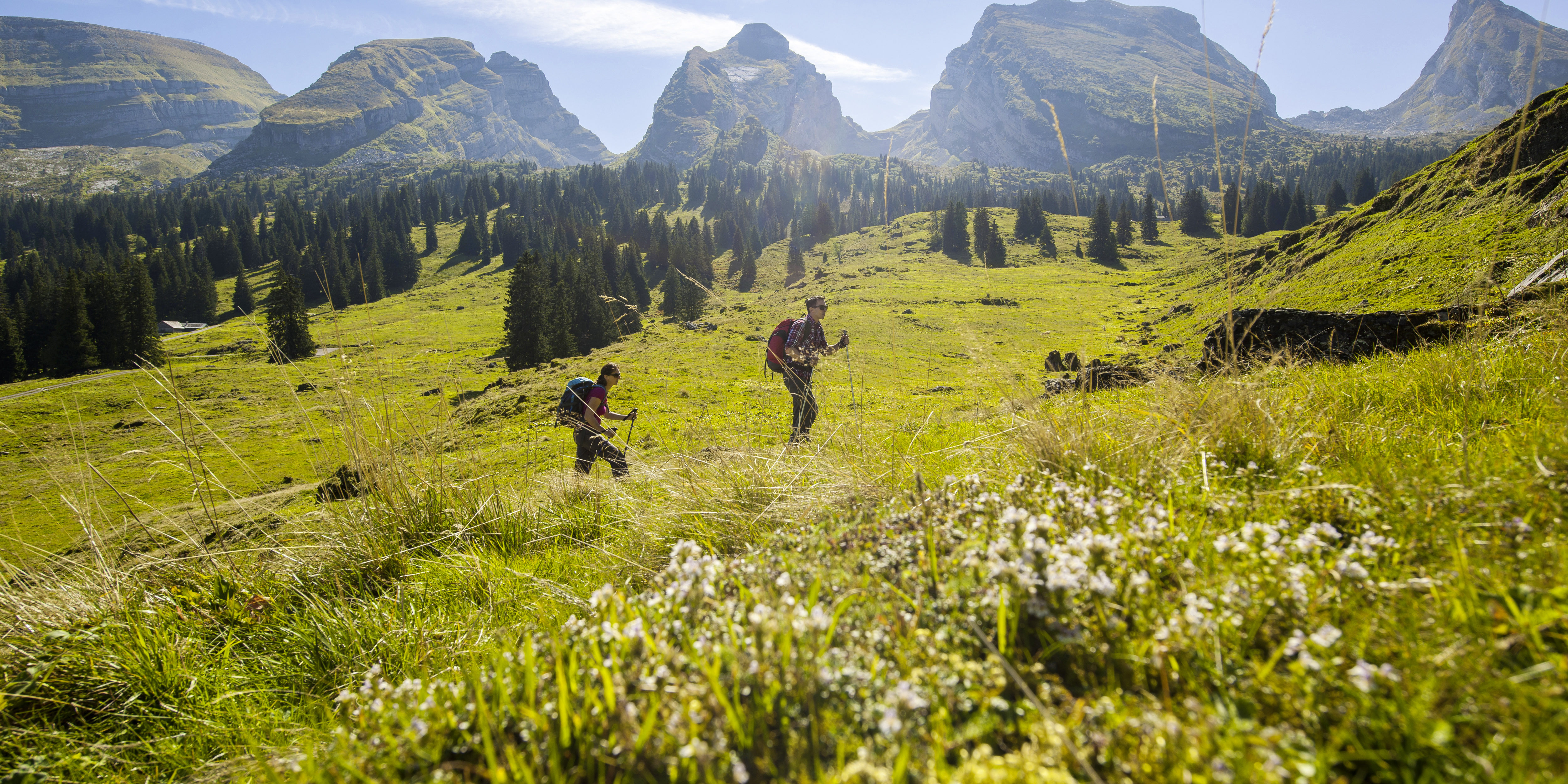 TOGGENBURG - Wanderparadies Toggenburg. Das Toggenburg gilt als eines der schoensten Wandergebiete der Schweiz. Hier findet man eine Vielzahl von Wander- und Spaziermoeglichkeiten fuer jeden Geschmack und alle Anforderungsstufen inmitten idyllischer Natur. Entdecken Sie zum Beispiel den Thurweg, Hoehenweg, Klangweg, Sagenweg, Neckiweg, Windraedliweg oder einen der gefuehrten Wanderausfluege.

Hiking paradies Toggenburg. Toggenburg is known as one of the most beautiful hiking areas in Switzerland. Here you can find a multiplicity of hiking and walking paths through idyllic nature suited to all ability stages. Discover for example Thur path, Hoehen path, Sound path, Myth path, Necki path, Windraedli path or one of the guided hiking excursions.

Copyright by Toggenburg Tourismus  By-line: swiss-image.ch/Dolores Rupa