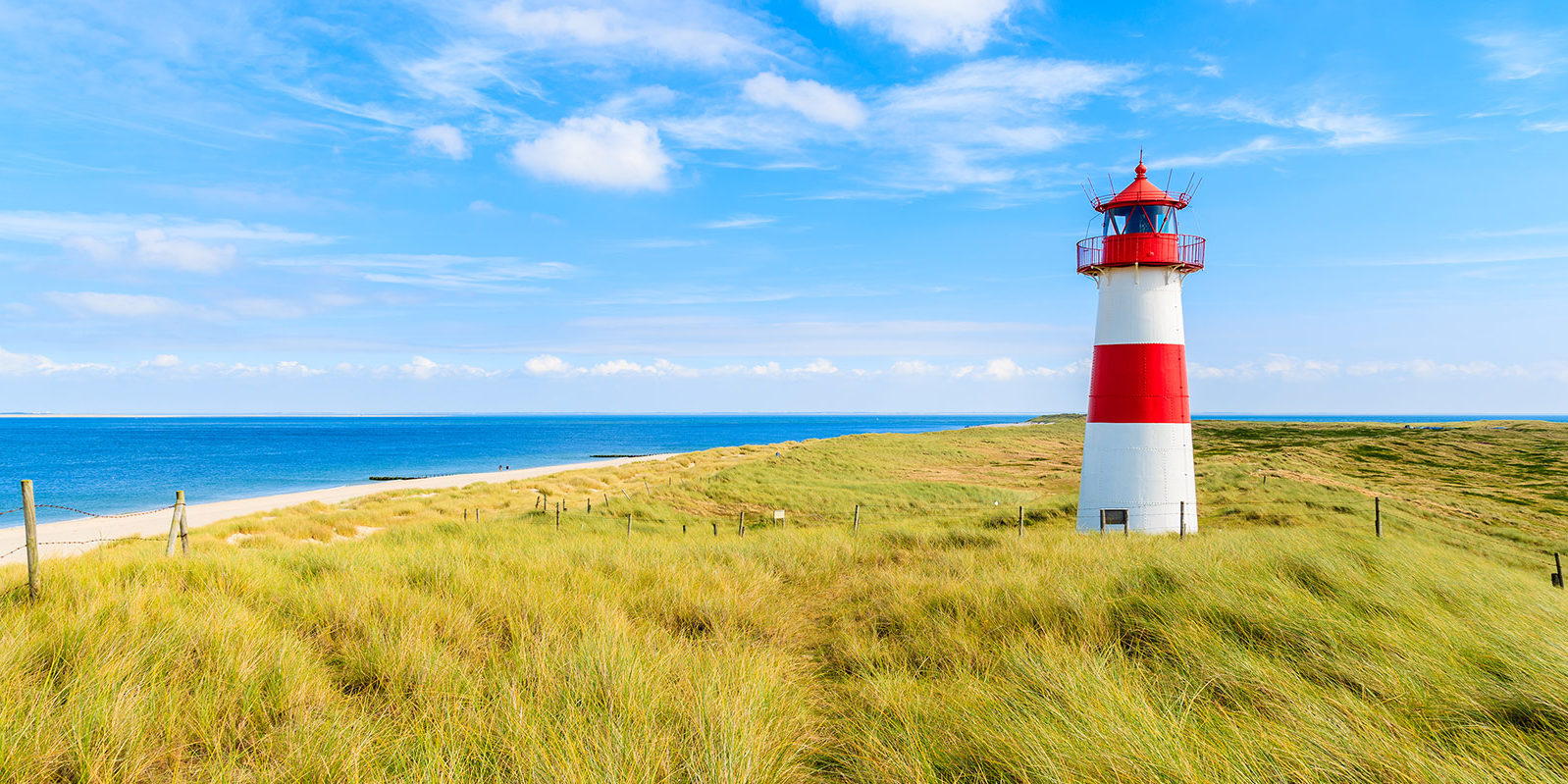 sylt
